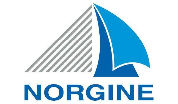norgine logo